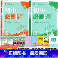 [人教版]九下物理化学2本 九年级/初中三年级 [正版]2024初中必刷题九年级上册下册语文数学英语物理化学政治历史全套