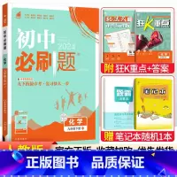 [人教版]九年级下册化学 九年级/初中三年级 [正版]2024初中必刷题九年级上册下册语文数学英语物理化学政治历史全套人