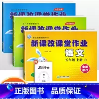 五年级上册语数英3本 小学五年级 [正版]2022版 新课改课堂作业语文数学英语五5年级上册下册人教版RJ北京版大白兔练