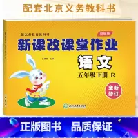 五年级下册语文 小学五年级 [正版]2022版 新课改课堂作业语文数学英语五5年级上册下册人教版RJ北京版大白兔练习册作