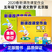 五年级下册语数2本 小学五年级 [正版]2022版 新课改课堂作业语文数学英语五5年级上册下册人教版RJ北京版大白兔练习