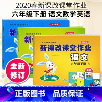 六年级下册语数英3本 小学六年级 [正版]2022版 新课改课堂作业语文数学英语六6年级上册下册人教版RJ北京版大白兔练