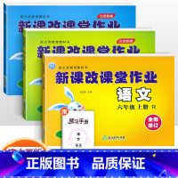 六年级上册语数英3本 小学六年级 [正版]2022版 新课改课堂作业语文数学英语六6年级上册下册人教版RJ北京版大白兔练