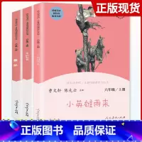 [6上]全套3本 [正版]快乐读书吧六年级上册下册全套爱的教育小英雄雨来童年鲁滨逊漂流记爱丽丝漫游奇境汤姆索亚历险记小学