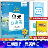 [人教版]九年级下册语文 九年级/初中三年级 [正版]2024版金考卷九年级上册下册语文数学英语物理化学人教版北师 活页
