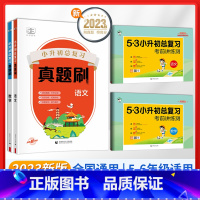 (4本)语文+数学[真题刷+总复习] 小学升初中 [正版]2023版 53小升初总复习试卷语文数学英语全套人教版小学毕业