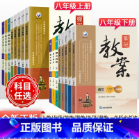 [人教版]政治 八年级上 [正版]2023版初中鼎尖教案八年级上下册语文数学英语物理道德与法治历史地理生物人教版北师外研