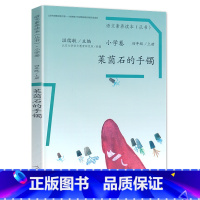 四年级上册 莱茵石的手镯 小学通用 [正版]语文素养读本穿浅蓝格子衬衫的太阳巧克力和咖啡树老奶奶的小铁勺人生的瓶子看蒙娜