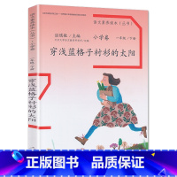 一年级下册 穿浅蓝格子衬衫的太阳 小学通用 [正版]语文素养读本穿浅蓝格子衬衫的太阳巧克力和咖啡树老奶奶的小铁勺人生的瓶