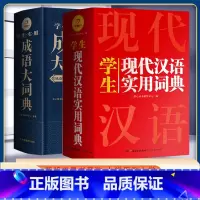 现代汉语+实用成语大词典(2本) 小学通用 [正版]抖音同款小学生多功能大成语词典大英语词典彩图大开本现代汉语词典组词造
