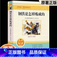 钢铁是怎样炼成的 [正版]朝花夕拾西游记原著骆驼祥子海底两万里昆虫记钢铁是怎样炼成的艾青诗选水浒传简爱儒林外史初中七八九