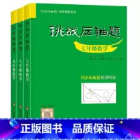 [789套装]数学压轴题3本 初中通用 [正版]2023新版挑战压轴题中考数学物理化学轻松入门篇+强化训练篇+精讲解读篇