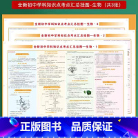 生物[挂图3张] 初中通用 [正版]小四门必背知识点挂图 初中知识点考点汇总挂图语文数学英语物理化学政治历史全套地理生物