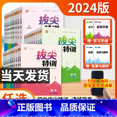 [人教版]物理全一册 九年级上 [正版]2024初中拔尖特训七八九年级上册语文数学英语物理化学人教北师大华师沪科 初一二