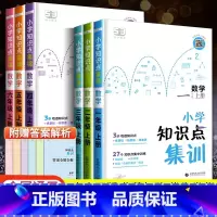 [单本]数学知识点集训 五年级上 [正版]2023秋 53小学数学知识点集训汇总总结 小儿郎5.3天天练一年级上册二年级