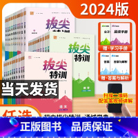 [人教版]语文 九年级上 [正版]2024初中拔尖特训七八九年级上册语文数学英语物理化学人教北师大华师沪科 初一二初三7