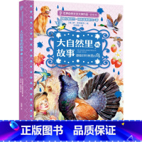 原始针叶林里的鸟 [新书] [正版]大自然里的故事全套8册 老树上的猫头鹰世界自然文学大师作品美绘本动物童话幻想森林报5