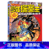 维也纳的暗夜猎手 [正版]少年探案王套装12册 解谜侦探团小学生三四五六年级寒假读本好书课外阅读书墨多多谜境冒险探秘世界