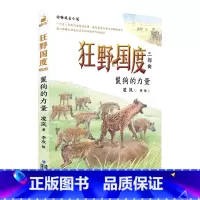 鬣狗的力量——狂野国度三部曲 [正版] 狂野国度三部曲全3册 狼国故事凌岚著雄狮的荣耀猎豹的抉择9-12岁小学生三四五六
