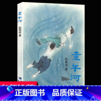 赵丽宏经典:童年河(平装) [正版]童年河 赵丽宏著 三四五六年级课外书小孩和大人都值得看的儿童成长小说8-9-12岁小