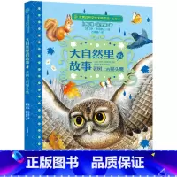老树上的猫头鹰 [正版]大自然里的故事全套8册 老树上的猫头鹰世界自然文学大师作品美绘本动物童话幻想森林报5-12岁小学