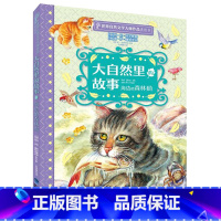 海边的森林猫 [正版]大自然里的故事全套8册 老树上的猫头鹰世界自然文学大师作品美绘本动物童话幻想森林报5-12岁小学生