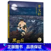 曹文轩自选小说集·黑荒丘 [正版]曹文轩自选小说集全5册远去的太阳/树鱼/黑荒丘/亮月子青羊村小学生三四年级课外阅读书籍