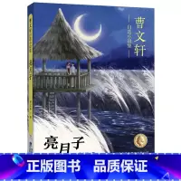 曹文轩自选小说集·亮月子 [正版]曹文轩自选小说集全5册远去的太阳/树鱼/黑荒丘/亮月子青羊村小学生三四年级课外阅读书籍