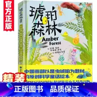 [正版]琥珀森林 精装硬皮陈睿6-12岁儿童科普百科小学生课外阅读书籍精美插图以昆虫琥珀为题原创科学童话绘本少儿科普读物