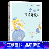 爱丽丝漫游奇境记 [正版]小巴掌童话有声注音版一只想飞的猫中华上下五千年蜗牛小书坊阅读书单幼儿启蒙5-9岁小学生一二年级