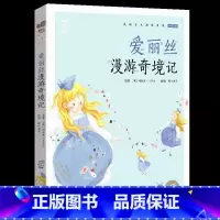 爱丽丝漫游奇境记 [正版]小巴掌童话有声注音版一只想飞的猫中华上下五千年蜗牛小书坊阅读书单幼儿启蒙5-9岁小学生一二年级