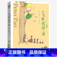 小飞侠彼得·潘 [正版]小巴掌童话有声注音版一只想飞的猫中华上下五千年蜗牛小书坊阅读书单幼儿启蒙5-9岁小学生一二年级世