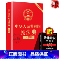 [正版]全2册 民法典2023年版 民法典理解与适用全套及相关司法解释汇编 中华人民共和国民法典刑律常识一本全实用理