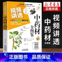 [正版]视频讲透中药材全图鉴 中草药大全中药材识别图鉴书籍 中医入门中草药大全书籍药材植物彩图中药大全书中医大全书中草药