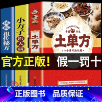 [正版]全3册土单方书张至顺道长 小方子治大病+民间祖传秘方民间实用土单方草药书中国土单方书医书大全老偏方药材食补中医书