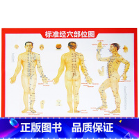 穴位图(赠品)送 不用拍 [正版]全套21册 中医传世经典养生系列土单方祖传秘方名老中医实用中医小方人体经络中医方剂