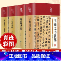[正版]书法作品手写真迹书法套装 彩图精装 中国书法一本通书法史王羲之颜真卿书法集篆书楷书草书三希堂法帖鉴赏书手写书法书