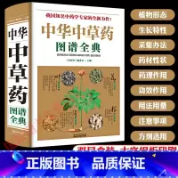 中华中草药图谱全典[豪华精装] [正版]抖音同款餐桌上的中药中医五大名著黄帝内经原版本草纲目李时珍土单方书百病食疗大全张