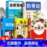 [5册]土单方系列+伤寒论+金匮要略 [正版]全3册 土单方书张至顺大全三册小方子治大病民间传统秘方 民间实用中国医书老