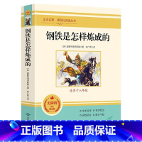 钢铁是怎样炼成的 [正版]全套12册 初中必读名著十二本朝花夕拾鲁迅原著西游记海底两万里和骆驼祥子老舍七年级上册课外书初