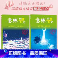 [全2册]逐梦青春+人间烟火. [正版]意林20周年纪念书意林高票好文 全套4册 意林中考作文2023初中生高中范文精选