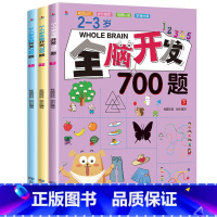 2-3岁全脑开发700题[全3册] [正版]全脑开发1000题 2-6岁学前教育儿童书籍幼儿园思维逻辑训练全脑开发益智早