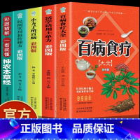 [正版]全5册彩图版百病食疗大全+土单方+小方子+祖传秘方 食谱调理四季家庭营养健康保健饮食养生菜谱食品食补书 百病食疗