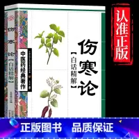伤寒论 [正版]全4册中医书籍大全药王孙思邈+神医华佗+医祖扁鹊+医圣张仲景中医基础理论本草纲目黄帝内经中医四大名著中医