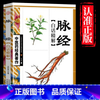 脉经 [正版]全4册中医书籍大全药王孙思邈+神医华佗+医祖扁鹊+医圣张仲景中医基础理论本草纲目黄帝内经中医四大名著中医入