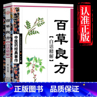 百草良方 [正版]全4册中医书籍大全药王孙思邈+神医华佗+医祖扁鹊+医圣张仲景中医基础理论本草纲目黄帝内经中医四大名著中