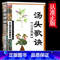 汤头歌诀 [正版]全4册中医书籍大全药王孙思邈+神医华佗+医祖扁鹊+医圣张仲景中医基础理论本草纲目黄帝内经中医四大名著中