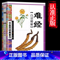 难经 [正版]全4册中医书籍大全药王孙思邈+神医华佗+医祖扁鹊+医圣张仲景中医基础理论本草纲目黄帝内经中医四大名著中医入