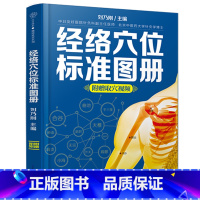 [正版]经络穴位标准图册 中医推拿按摩书养生书籍大全养生书籍人体经络穴位图解书