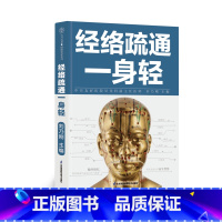 [正版]经络疏通一身轻 经络穴位 中医入门 按摩养生